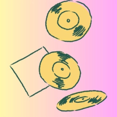 The Disko song The Disko song